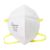 SS6001-N95 Face Masks - 20/Box - Image 2